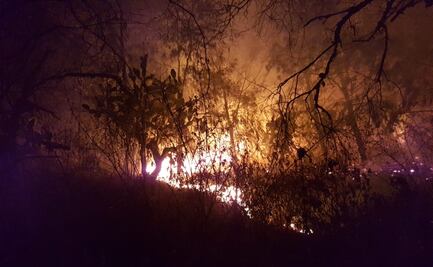 Laboran en sofocar incendio en la Sierra de Guadalupe