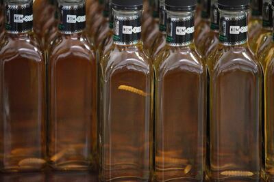 Murat y Guajardo acuerdan reunión por denominación de origen del mezcal