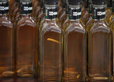 Murat y Guajardo acuerdan reunión por denominación de origen del mezcal