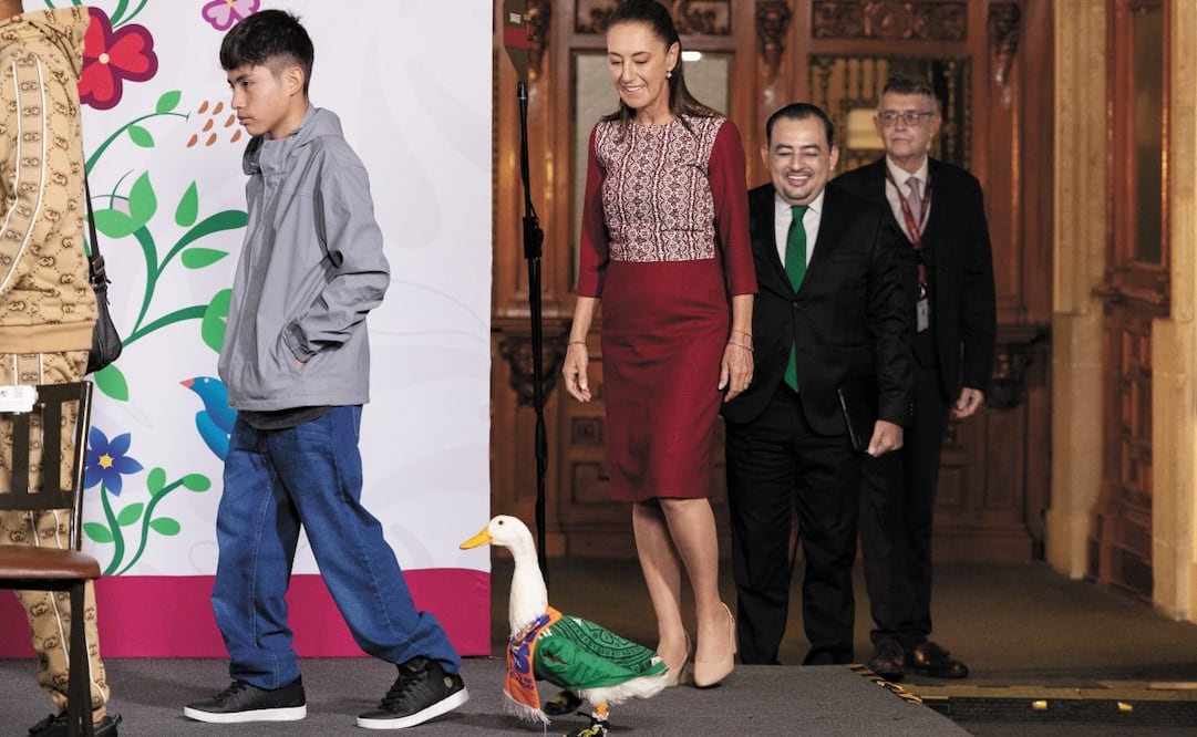 El pato Merlin y su familia fueron invitados por la presidenta Claudia Sheinbaum Pardo a la conferencia mañanera del lunes 22 de junio. Foto Hugo Salvador/El Universal