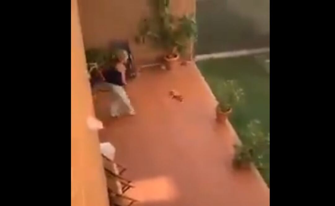 Foto: Captura de pantalla 