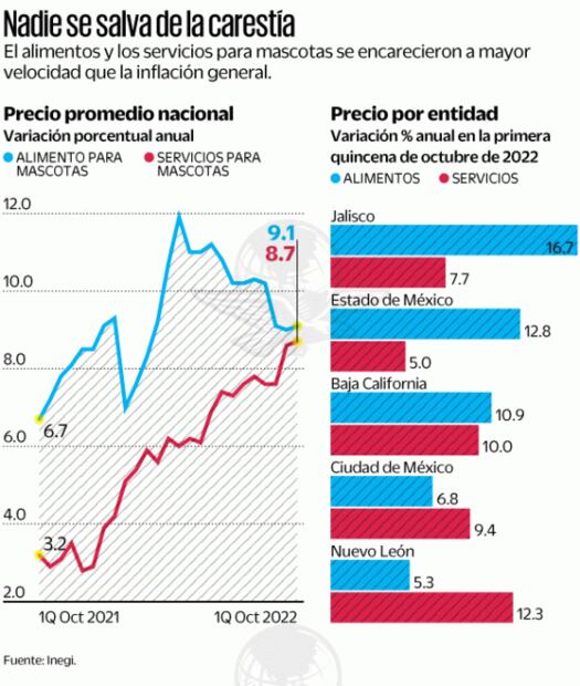 México es mercado 12 global en alimento para mascotas