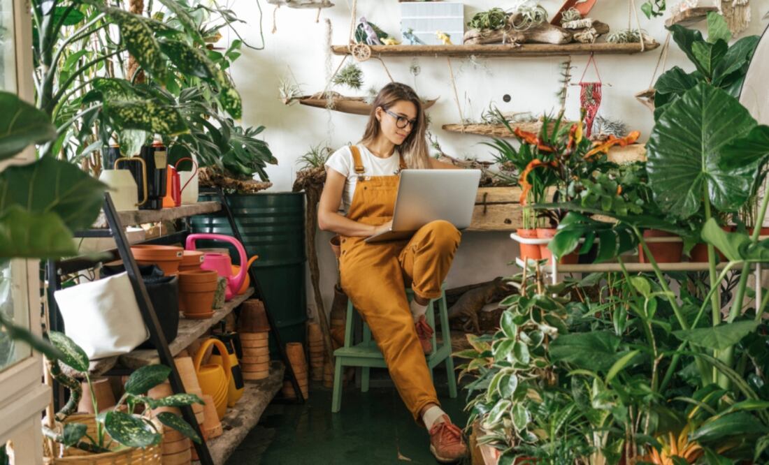 La plataforma anunció nuevas herramientas para encontrar a los especialistas.