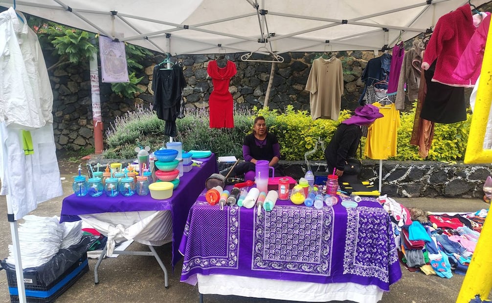 Un grupo de mujeres estará a las 9 horas en la sede de la Alcaldía Milpa Alta para realizar una "Mercadita Feminista". Foto: Facebook