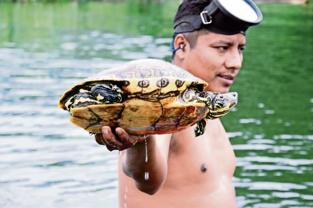 En el arroyo habitan las especies Tres lomos, Pinta y Blanca, que son custodiadas por los habitantes de Santa Úrsula, debido a que se han percatado de la presencia de personas ajenas a la población que se internan para cazarlas. Foto: YURIDIANA SOSA.