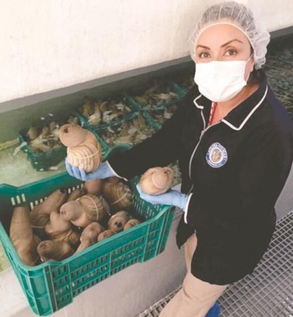 Viento a favor, mujeres con éxito en la pesca 