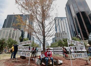 ¿Y cómo está el Ahuehuete de Reforma?