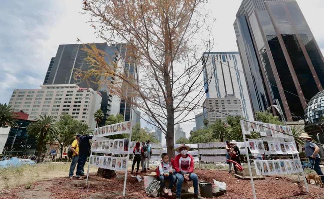 ¡Pobre Ahuehuete! Ahora auto choca contra muro de protección en Reforma