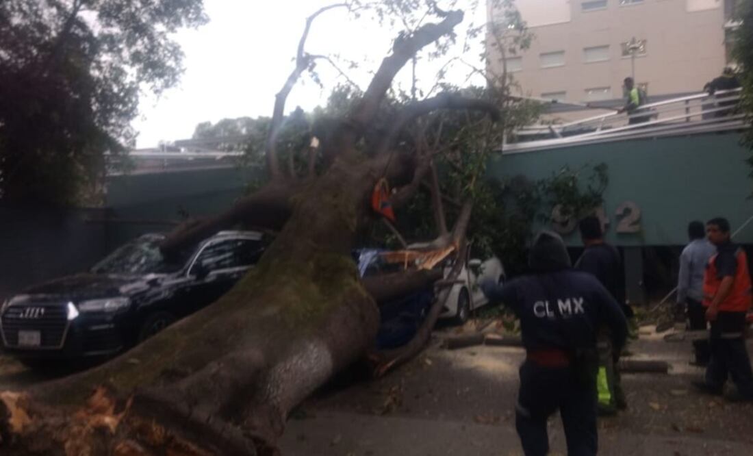 (Foto: Twitter / @C5_CDMX)