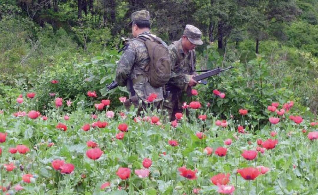 (Photo: Archive/El Universal)      