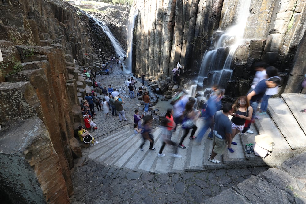 Los prismas pueden alcanzar hasta los 40 metros de altura. (Foto: Berenice Fregoso/ El Universal)