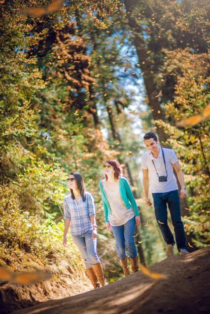 3 Patrimonios Mundiales en Michoacán