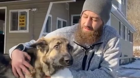 Perro salva la vida de dos personas llevando a la policía a un choque cercano