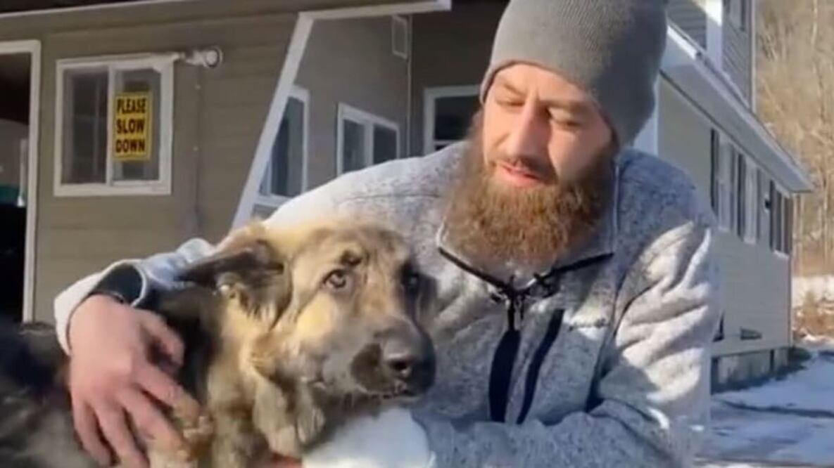 Perro salva la vida de dos personas llevando a la policía a un choque cercano