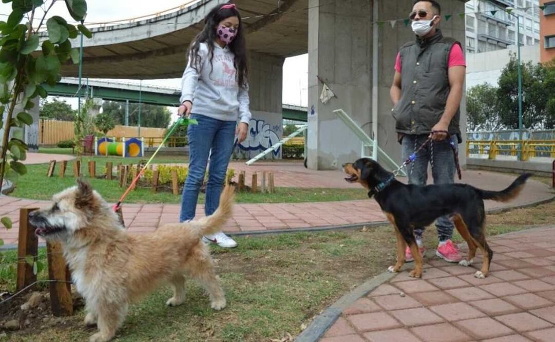 Se instalarán dispensadores y depósitos inteligentes e interactivos para el acopio de heces de las mascotas. Foto: Especial 