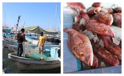 ¡Si pescas, pesca pero bien!