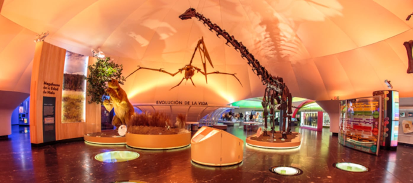 El Diplodocus, una de las piezas más emblemáticas del museo, sorprende a chicos y grandes desde hace décadas.

Foto: Museo de Historia Natural y Cultura Ambiental