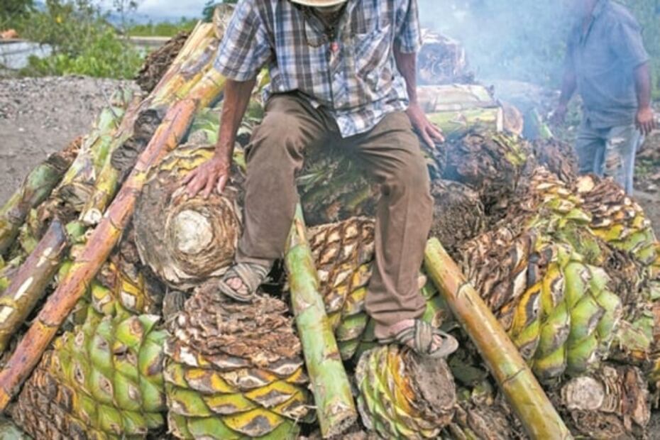“Pasamos meses sin vender ni un litro de mezcal”