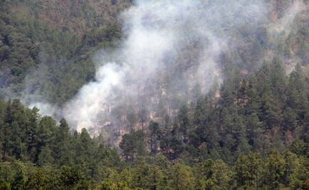 Chiapas prevendrá posibles incendios a causa de El Niño