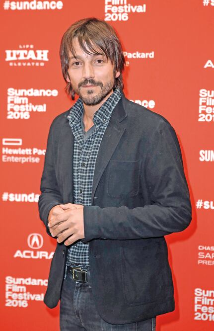 Ni un cerdo limita a Diego Luna