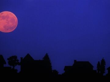 Hoy podrás disfrutar de la Luna Rosa en la CDMX