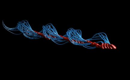 Los espermatozoides no se mueven como se creía