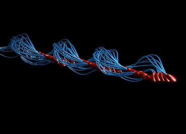 Los espermatozoides no se mueven como se creía