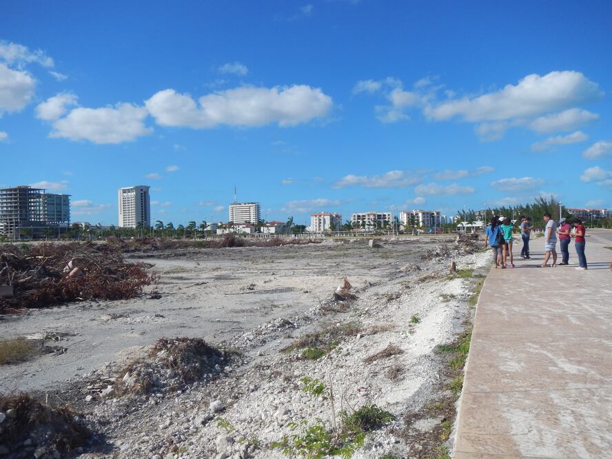 Cancún autorizó desmonte de lotes públicos en Tajamar