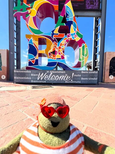 Cheffy en México. Foto: The Tiny Chef Show