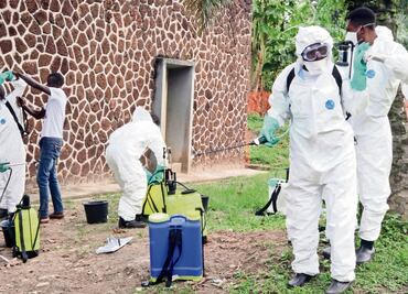 Detectan nuevo brote de ébola en el Congo