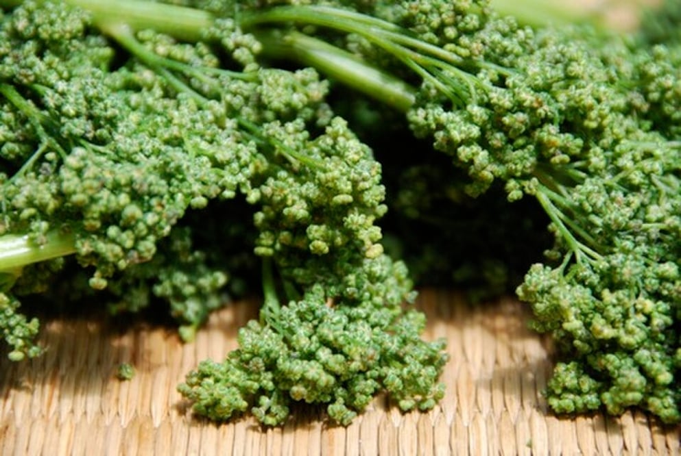 Descubre el valor nutricional del huazontle, un quelite mexicano. Foto: Wikimedia Commons