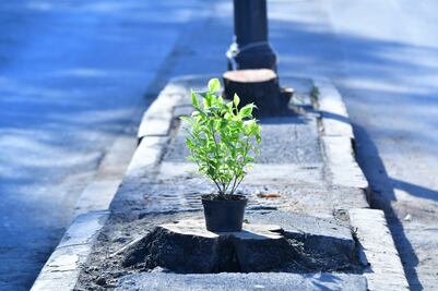 TJA rechaza haber negado información sobre sanciones a Mítikah