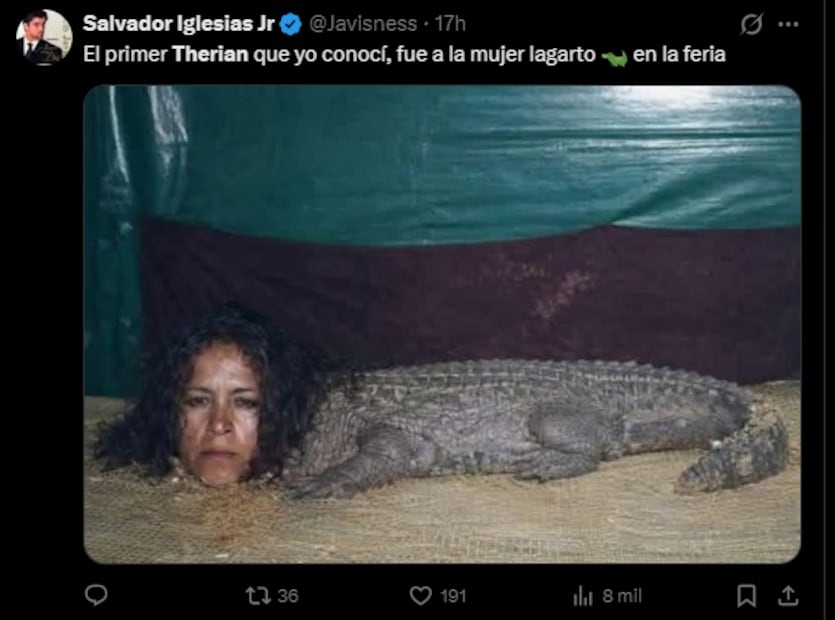 Estos son los mejores memes que han dejado los “therian”. Foto: Captura de pantalla