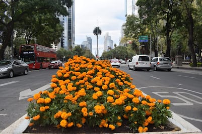 "Pintan" de naranja las calles de la CDMX por Día de Muertos 