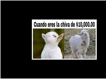 Entérate. ¿Qué es la "chiva" de los XV de Rubí?