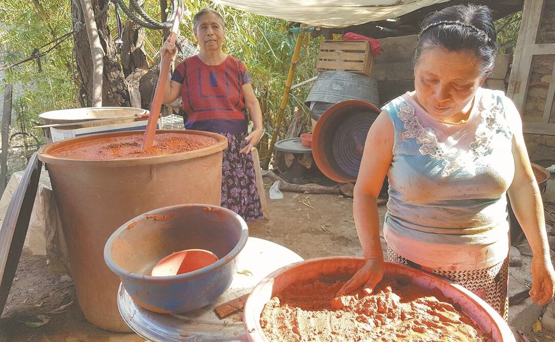 El proceso para conseguir 50 kilos de achiote en esa pasta rojiza le lleva todo un año a Ersita, desde la limpieza del terreno (dos veces por año), donde las plantas alcanzan dos metros, hasta la elaboración de la pasta. Fotos: ROSELIA CHACA. EL UNIVERSAL