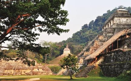 Ancient Maya document analyzed