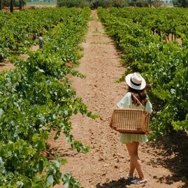 Dónde celebrar las Fiestas de la Vendimia 2023