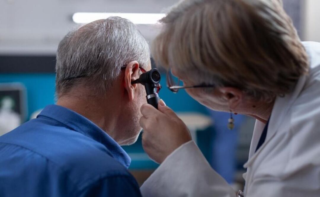 Ginkgo Biloba. Fuente: Freepik