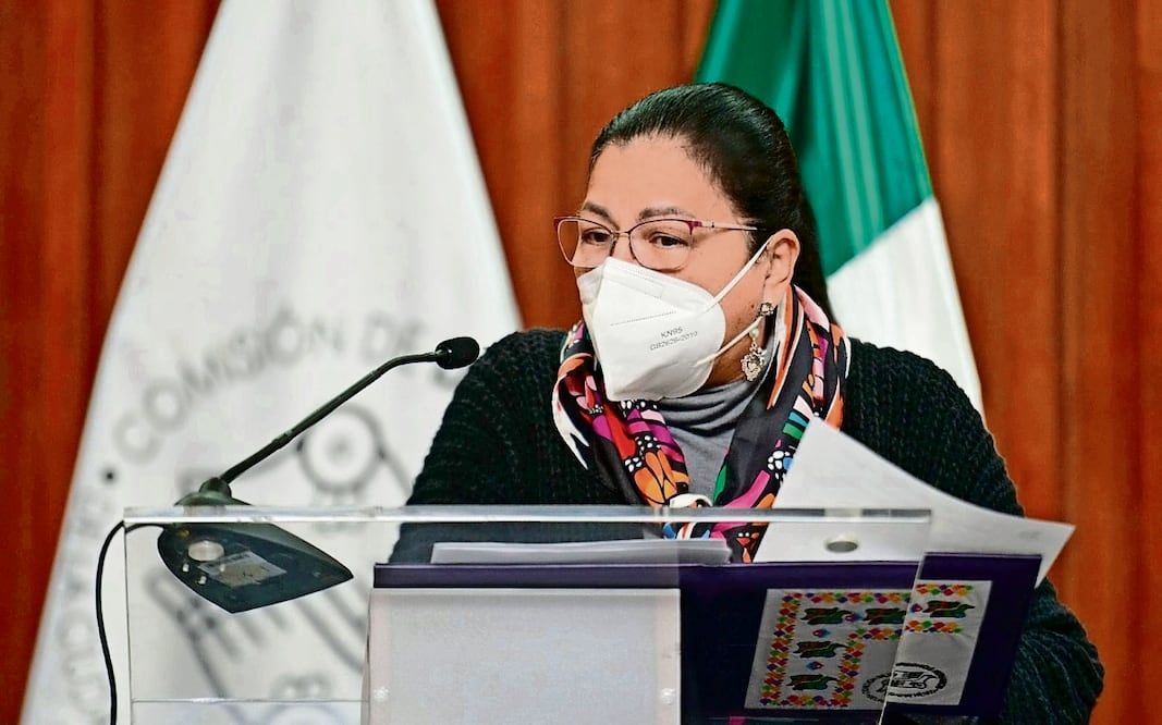 Nashieli Ramírez dijo que se han emitido 85 instrumentos recomendatorios por tortura. Foto: Especial