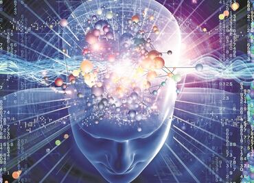 Elaboran el primer Atlas del cerebro humano