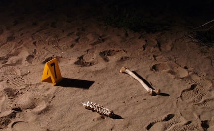 Over 3,000 clandestine graves found in Mexico