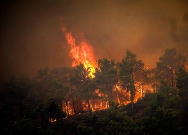 Incendios forestales en Hawai dejan al menos 36 fallecidos