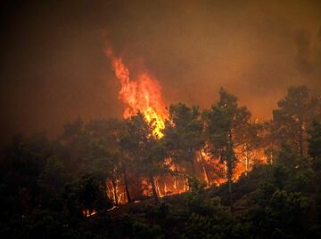Incendios forestales en Hawai dejan al menos 36 fallecidos