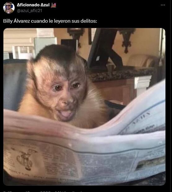 Los mejore memes que dejó la detención de Billy Álvarez, exdirector de la Cooperativa La Cruz Azul, Guillermo. Foto: Captura de pantalla