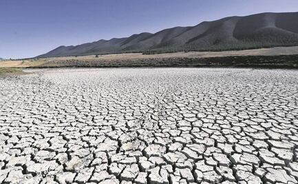Sequía pega al costo de alimentos: Banxico