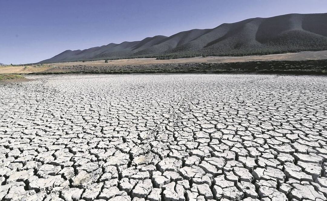 A julio de este año, 19 entidades han tenido al menos un municipio en emergencia por la sequía. Foto: Archivo/ EL UNIVERSAL