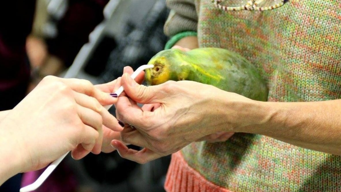 La fruta ayuda a los estudiantes en sus prácticas. Foto: BBC
