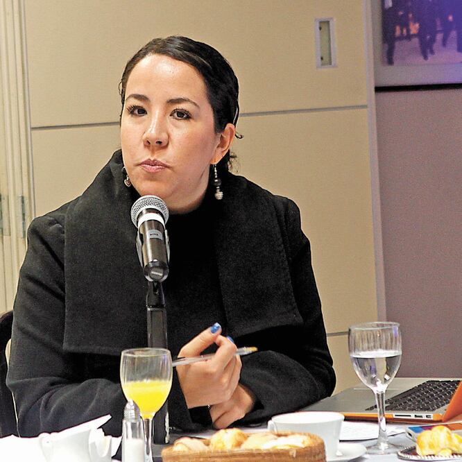 La organización civil Fundar, de la que Haydeé Pérez es directora ejecutiva, realizó el análisis de las farmacéuticas. ARCHIVO EL UNIVERSAL