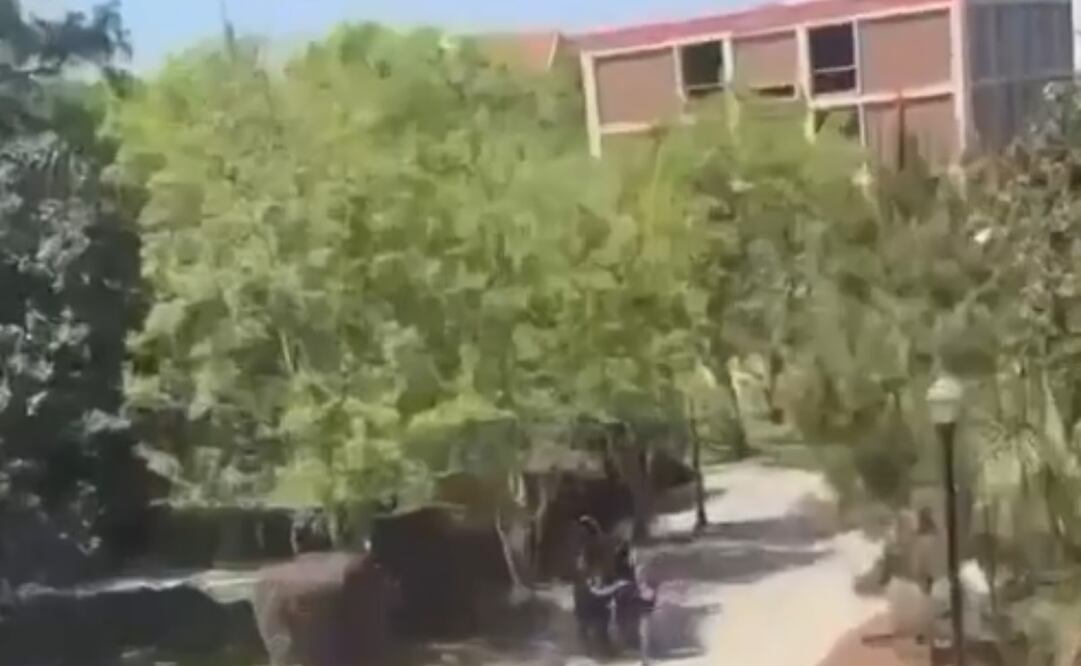 No hay mexicanos afectados por tiroteo en Universidad de Florida. Foto: Captura de pantalla